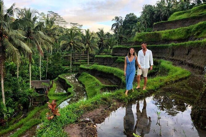 Ubud Highlights Tour ( Private All-Inclusive ) - Sacred Monkey Forest Sanctuary: A Great Stop, With a Ticket Add-On