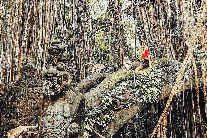 Ubud iconic waterfall and temple tours - Tegenungan Waterfall: iconic water, real time to enjoy it