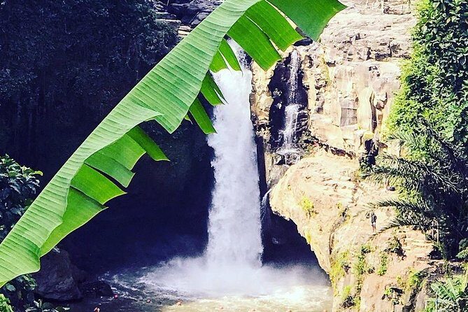 Ubud iconic waterfall and temple tours - Sacred Monkey Forest Sanctuary: fun to watch, rules to respect