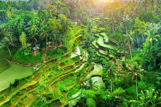 Ubud Jungle Adventure: Tirta Empul & Bali Swing - Key things I’d watch for