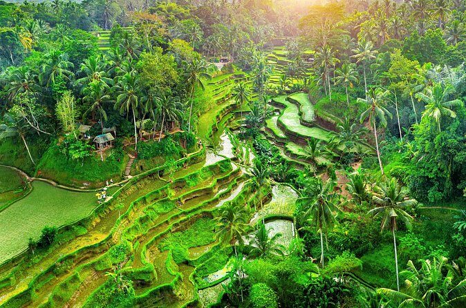 Ubud Jungle Adventure: Tirta Empul & Bali Swing - Real Bali Swing: the adrenaline stop with real view payoff