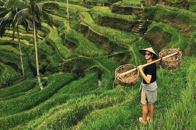 Ubud Jungle Swing - Monkey Forest - Water Temple - Waterfall - Key highlights to know before you go