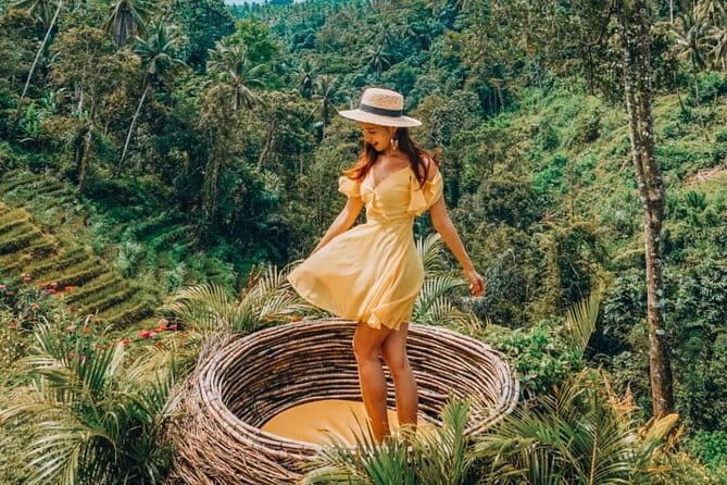 Ubud Jungle Swing - Monkey Forest - Water Temple - Waterfall - Price and what you truly pay for (the $45 plus entrance add-on)