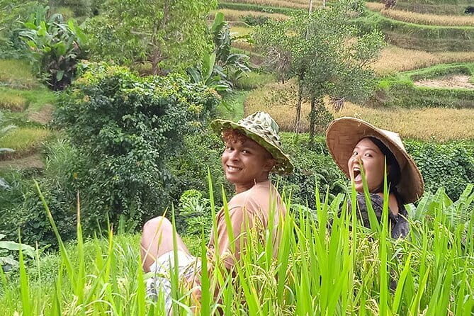 Ubud : Kintamani Downhill Cycling Tour with Lunch - The downhill part: what this ride actually feels like
