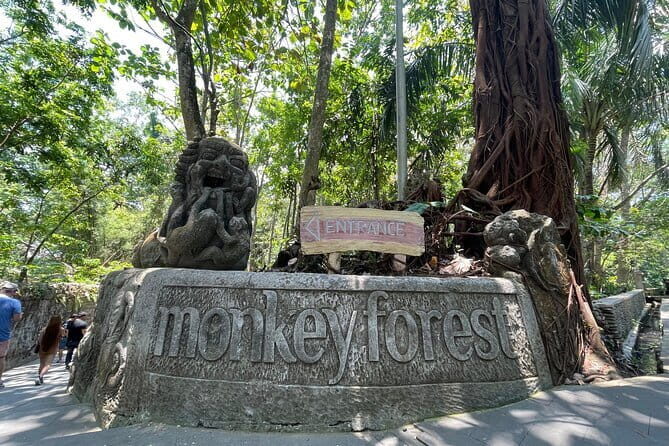 Ubud Monkey Forest Rice Terrace Temple Waterfall Private Tour - Tirta Empul Temple: the holy water purification ritual moment