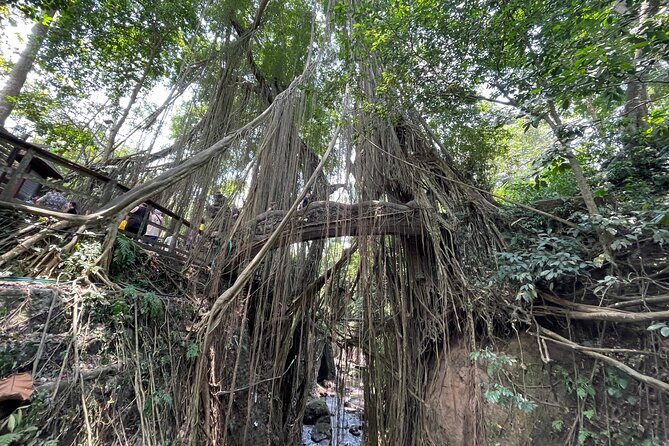 Ubud Monkey Forest Sanctuary Entrance Ticket All Inclusive - Getting There and Timing: Plan for Real Travel Time