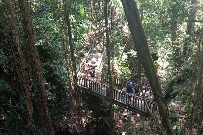 Ubud Monkey Forest Sanctuary Entrance Ticket All Inclusive - Should You Book This?