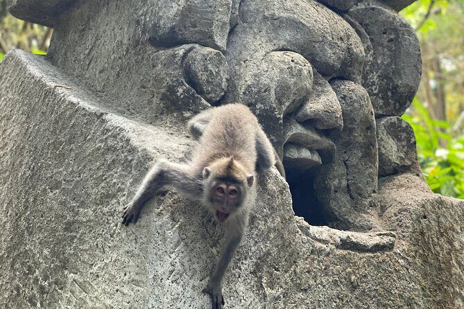 Ubud Monkey Forest Sanctuary Entrance Ticket All Inclusive - What You’ll See: Temples, Statues, and Sacred Pools
