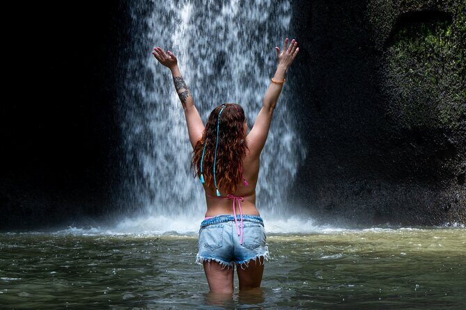 Ubud Monkey Forest, Scenic Rice Terrace with Swing and Waterfall - Key things that make this tour work