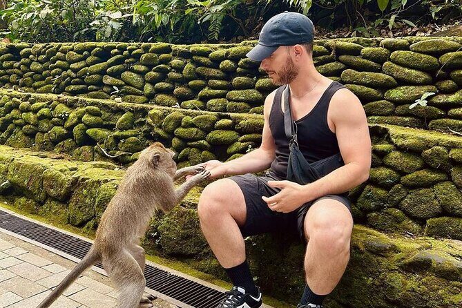 Ubud Monkey Forest, Scenic Rice Terrace with Swing and Waterfall - Price and value: where $24.65 makes sense