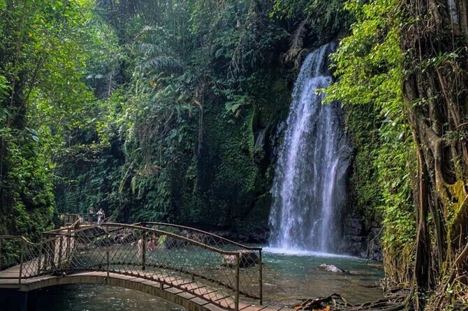 Ubud Private Chasing Waterfall and Water Temple Tour - Key things to know before you go