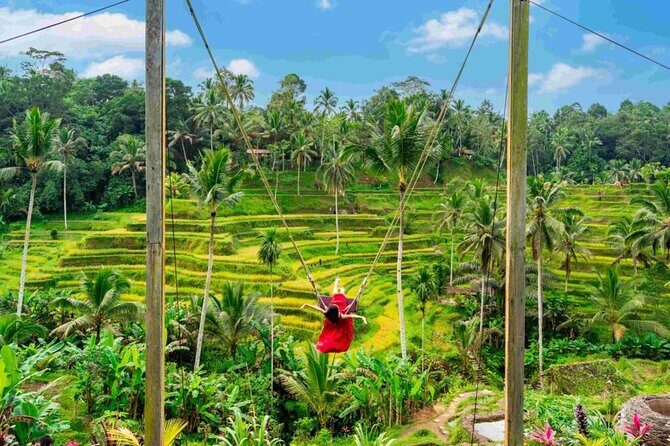 Ubud Private Chasing Waterfall and Water Temple Tour - Price and what you’re really paying for at $57.77