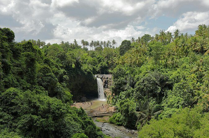 Ubud Private Nature and Temple Tour - Pemulan Bali Coffee Plantation: Coffee and Spice Gardens You Can Smell