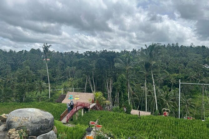 Ubud Private Tour From Cruise Port Benoa Bali All Inclusive - Tegalalang Rice Terrace and Subak Irrigation: The View, Plus the System
