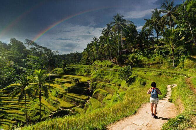 Ubud Private Tour: Monkey Forest - Tirta Empul Temple - Tegenungan Waterfall: the 20-meter drop and that small hidden spring feeling