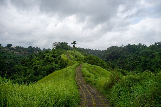 Ubud Private Tour: Monkey Forest - Tirta Empul Temple - Gianyar Street Night Market: a dinner plan that feels local