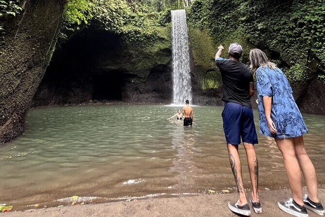 Ubud : Rice Terrace, water Temple and Waterfalls Private tour - Stop 1: Tegalalang Rice Terrace and that UNESCO-moment feeling