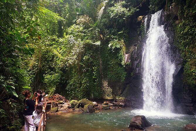 UBUD Spring Temple, Waterfall, Rice Terraces Private Tour - Why This Ubud Private Combo Works Better Than Piecing It Together
