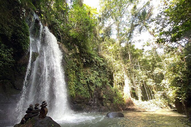 UBUD Spring Temple, Waterfall, Rice Terraces Private Tour - Stop 1: Sacred Monkey Forest Sanctuary (45 Minutes)