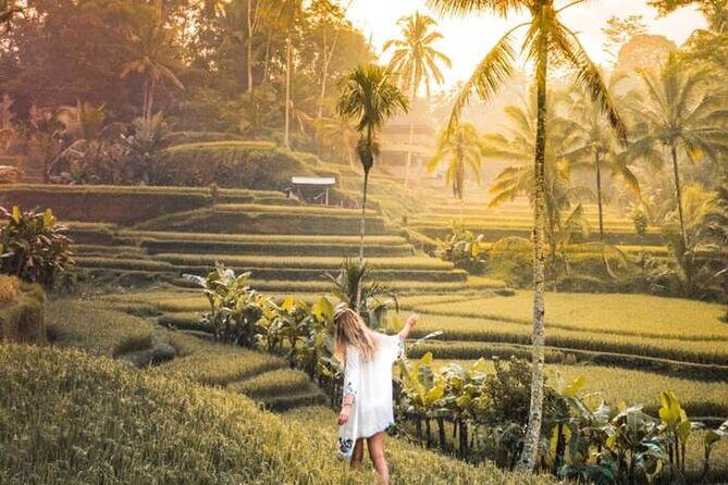 UBUD Spring Temple, Waterfall, Rice Terraces Private Tour - The Flow Between Stops: Transport, On-Car Commentary, and Not Feeling Rushed