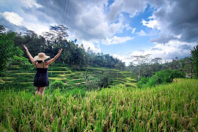 UBUD : Temple and Waterfall All Inclusive Day Tour - Tegalalang Rice Terrace: seeing subak irrigation in action