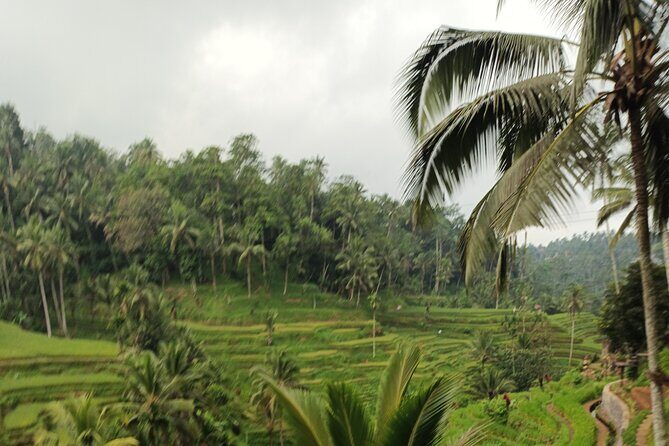 UBUD : Temple and Waterfall All Inclusive Day Tour - Lunch at Pangkon Bali Resto & Agrotourism: plan for payment