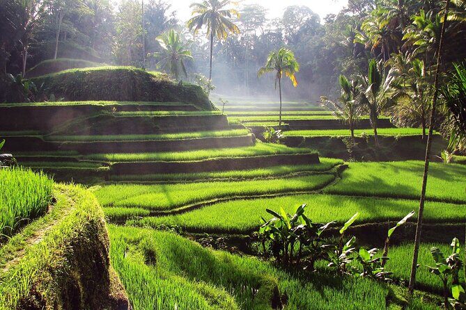 UBUD : Temple and Waterfall All Inclusive Day Tour - Tirta Empul: the sacred water cleansing rituals
