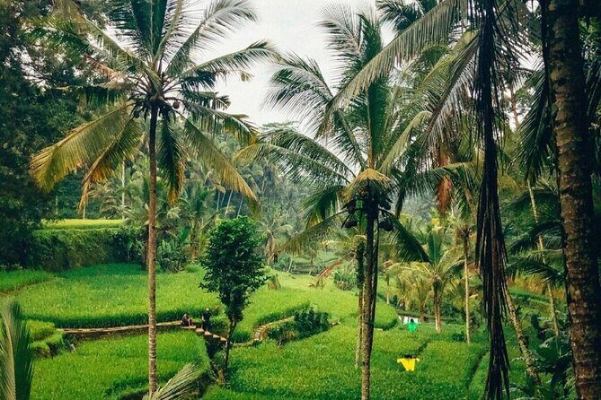 Ubud Temples, Waterfalls, Rice Terraces & Balinese Culture - Stop 3: Tegalalang Rice Terrace (1 hour) for classic Ubud views