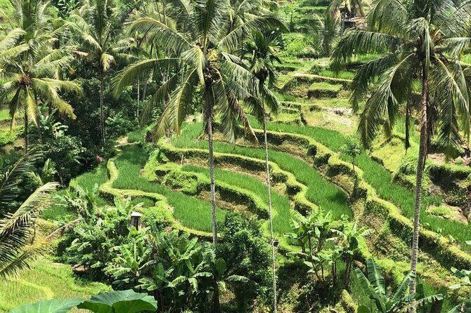 Ubud Temples, Waterfalls, Rice Terraces & Balinese Culture - Stop 4: Tukad Cepung Waterfall (1 hour) for photos and a possible swim