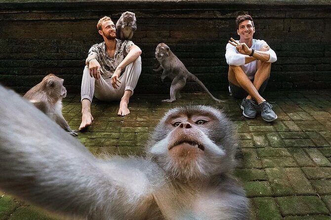 Ubud Tour-All Inclusive with Jungle Swing And Lunch - Getting picked up and moving: private car comfort matters
