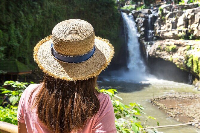 Ubud Tour Waterfall Rice Terrace Temple and Art Village - Sacred Monkey Forest Sanctuary: a temple-and-jungle visit with real macaques