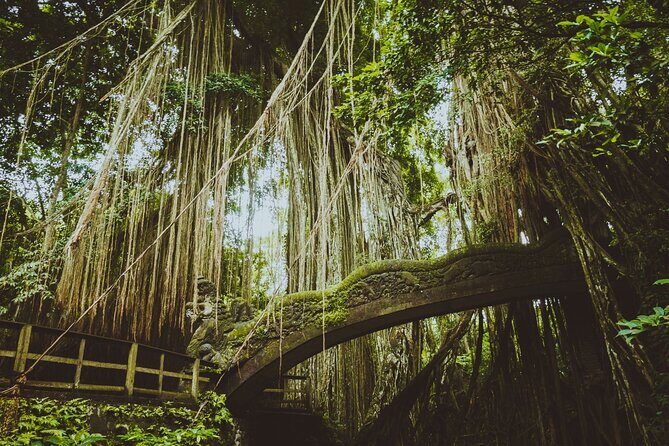 Ubud Tour Waterfall Rice Terrace Temple and Art Village - Ubud Jungle Swing: quick thrill, big-angle photos, separate admission