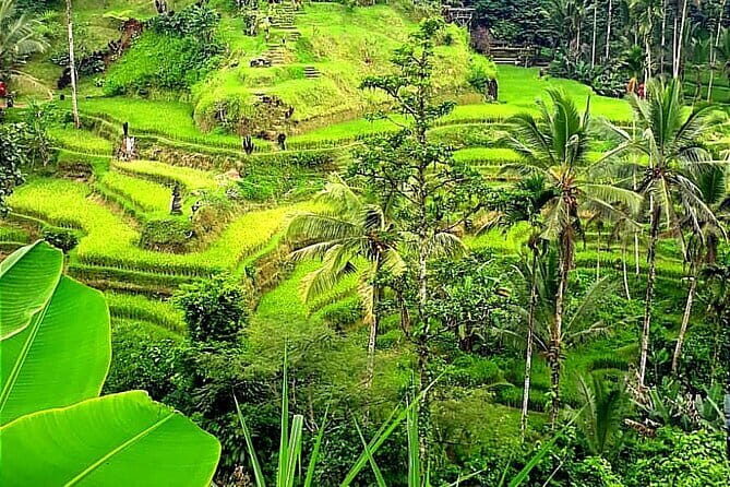 Ubud Tour with all includes - Tohpati Village Batik: Watching Hands Make the Pattern