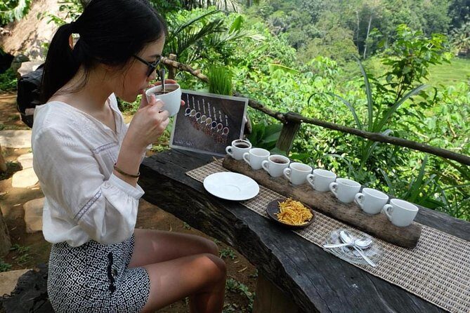 Ubud Tour with Swing, Temple, Monkey Forest, and Waterfall - Puseh Batuan Temple: purification moments and respectful viewing