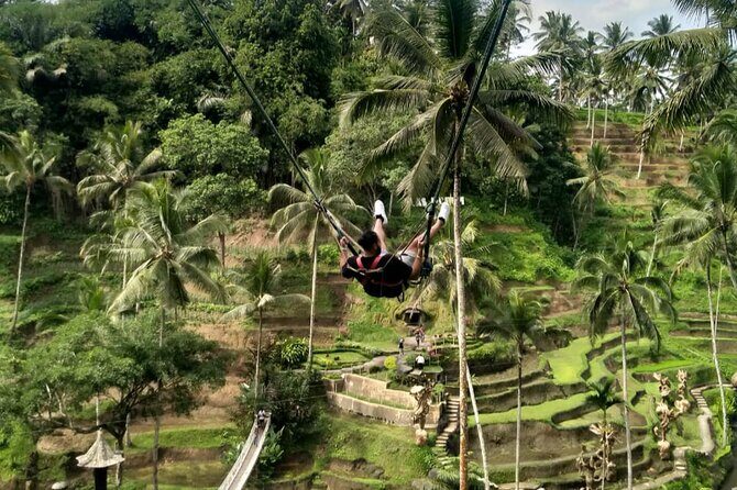 Ubud Waterfall Swing And Spring Temple Private Guided Tour - Getting there in a private air-conditioned vehicle (and what affects comfort)