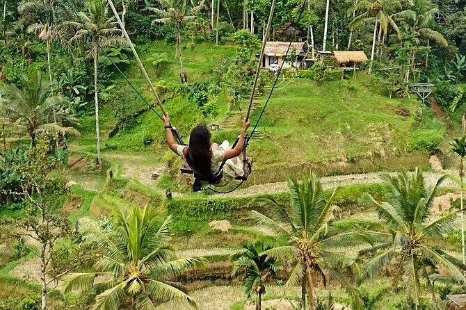 Ubud Waterfall Swing And Spring Temple Private Guided Tour - Stop 2: Sacred Monkey Forest Sanctuary—fun, but keep it respectful