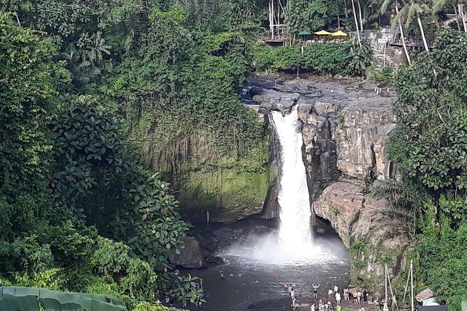 Ubud Waterfall Swing And Spring Temple Private Guided Tour - Why this private Ubud day works as a flexible Bali mix
