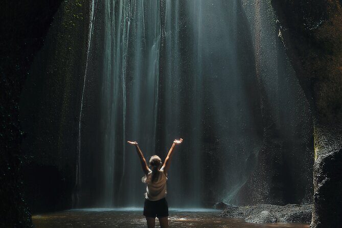 Ubud: Waterfalls, Water Temple & Rice Terraces Private Tour - Price and Value: What $22.50 Buys in Real Terms