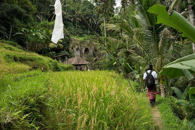 UNESCO Sites Cultural Walking Tour in Bali - Why This UNESCO Sites Walking Tour Feels More Like Real Bali