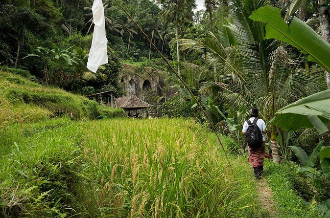UNESCO Sites Cultural Walking Tour in Bali - Friends in Bali: Light Breakfast, Balinese Lunch, and a Reset