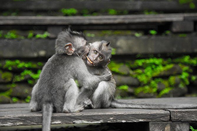 Utterly Ubud - Barong and Kris dance: culture without the guesswork