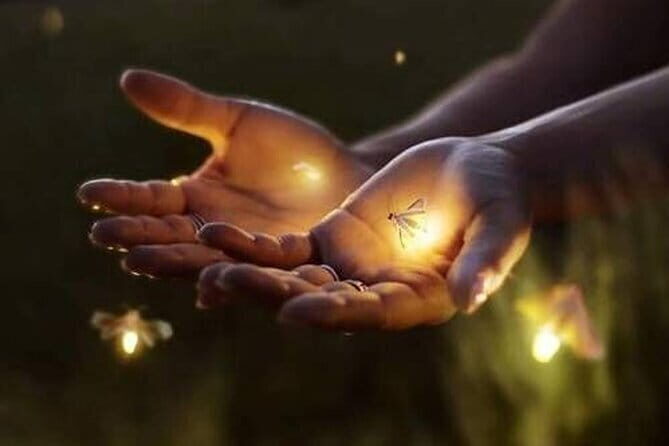 VIllage Firefly Night Tour - Ubud Bali - Key highlights you’ll actually feel