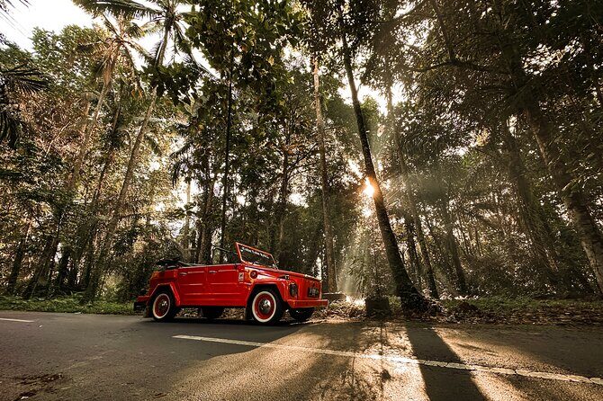Vintage Volkswagen Bali Tour - Stop 4: Delodsema Traditional Village, Tegallalang—house life and crafts